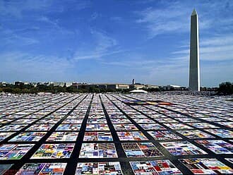 The AIDS Crisis